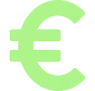 Euro Icon